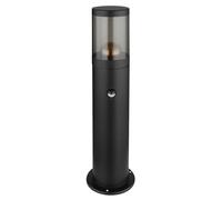 Lampadaire d'extérieur LED intelligent sur pied avec détecteur de mouvement en acier inoxydable, application et commande vocale, changement de couleur RVB, couleur fumée noire, 1x 10W 806lm blanc chau