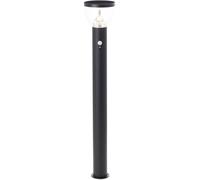 Lampadaire dextérieur solaire avec détecteur de mouvements Brilliant G40412/06 Tulip Module LED LED intégrée 3 W noir