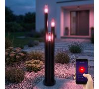 Lampes d'extérieur en acier inoxydable Lampe d'extérieur sur pied Lampe de jardin noire, cuivre fumé, App-Control, 3x Smart RGB LED 10W 806Lm, DxH 28 x 170 cm