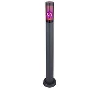 Lampadaire en acier inoxydable lampadaire de jardin d'extérieur anthracite fumé, télécommande dimmable, 1x LED RGB 8,5W 806Lm blanc chaud, DxH 7,6x80 cm