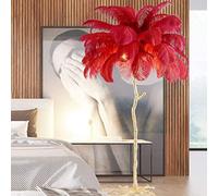 Lampadaire en plumes avec éclairage LED à intensité variable pour chambre à coucher, bureau, salon, salle de lecture, coin lumineux, lumière douce