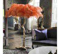 Lampadaire en plumes avec éclairage LED à intensité variable pour chambre à coucher, bureau, salon, salle de lecture, coin lumineux, lumière douce