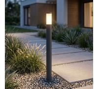 Lampadaire extérieur éclairage de jardin lampadaire éclairage de chemin acier inoxydable anthracite opale, plastique blanc, douille 1x E27, DxH 12,7x110 cm