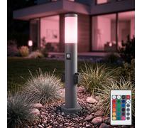 Lampadaire de jardin dimmable avec télécommande éclairage de chemin extérieur avec détecteur de mouvement 2x douille douille, RGB LED 8,5W 806lm blanc chaud, IP44, H 60cm