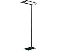 Lampadaire fluo Forum - noir