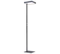 Lampadaire LED plafonnier projecteur lampe de lecture métal noir mat variateur rotatif H 184 cm