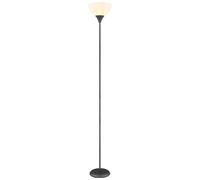 Lampadaire Plafonnier opale Lampadaire couleur titane Lampe de salon, métal, 1x douille E27, DxH 25x178,5 cm