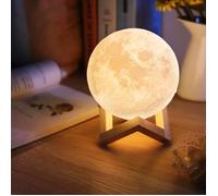 Lampe 3D - Imprimée - 2 couleurs - Tactile - Rechargeable - 15 cm