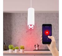 Plafonnier suspendu en plâtre lampe à commande vocale contrôlable par téléphone portable dans un ensemble comprenant des lampes à LED RVB