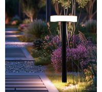 Lampe d'allée de jardin, éclairage extérieur, lampe enfichable, piquet de terre, batterie solaire, plastique, opale noire, 1x LED, DxH 15,3x56,1 cm