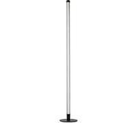 Lampe d'Ambiance RGBIC 10W Connectée Wi-Fi 180lm 2700-6500K Nedis Noir Noir