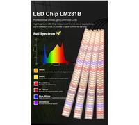 Lampe de croissance LED 100 W - Lampe de culture - Spectre complet - Gradable - Variateur rotatif - 110–240 V - Pour serre et hydroponie
