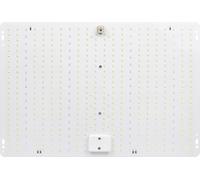 Lampe de croissance LED à spectre complet pour plantes Succulentes Couleur Intérieur Vert Plante Fleur Seedling Lights Replacement
