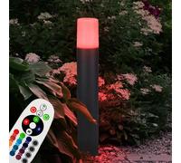 Lampe De Jardin À Dimmable Avec Télécommande Lampe D'extérieur LED