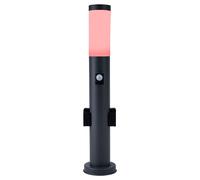Lampe de jardin, dimmable avec télécommande, éclairage de chemin extérieur avec détecteur de mouvement, 2x prise, lampe sur pied, acier inoxydable anthracite, LED RVB 8,5W 806lm blanc chaud, IP44, H 6