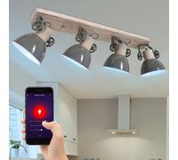 Lampe de plafonnier DIMMABLE app commande vocale via téléphone mobile dans un ensemble comprenant des lampes LED RVB