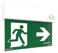 Lampe de secours murale/de plafond « AUTOTEST » de Fischer, PVC, IP40, 3 h, 21 m, jeu de pictogrammes universels, 1 pièce.