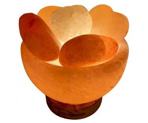 Lampe de Sel Bol et Cœurs