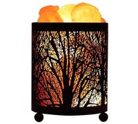 Lampe de Sel Naturelle Décorative en Fer Noir, Kit 1 Set avec Ampoules