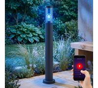 Lampadaire en acier inoxydable lampadaire de jardin d'extérieur anthracite fumé, contrôle par application dimmable, 1x Smart RGB LED 10W 806Lm blanc chaud, DxH 7,6x80 cm