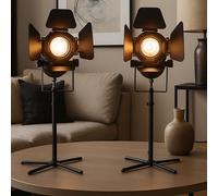 Lampe De Table Lampe D'Appoint Projecteur Réglable H 48,5 Cm Ensemble De 2 [EEK: Non noté]