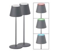 Lampe de table LED Lampe d'extérieur Lampe de jardin Batterie RGB Changement de couleur Lampe décorative, 2W 270lm blanc chaud, DxH 12 x 38 cm, lot de 2