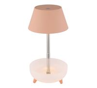 Lampe de table LED rechargeable Touchdimmer Lampe de table Réglable en hauteur Bras télescopique Lampe de chevet pêche Touch, USB, 1W 100Lm blanc chaud, DxH 11,8x22,5 cm
