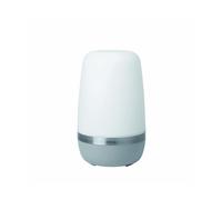 Blomus 66063 Platinum Lampe d'extérieur à LED Gris Taille unique