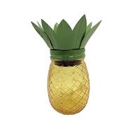 Lampe décorative solaire en métal et verre, idéale pour éclairer les jardins et les patios, résistante aux intempéries et facile à installer.