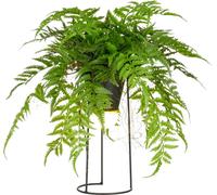 Lampe décorative sur pied Farnmix 60 cm vert sur support métallique avec éclairage LED et 1,5 m de câble