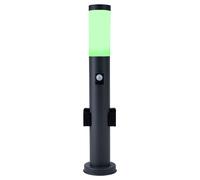 Lampe d'extérieur LED intelligente, dimmable, lampadaire avec détecteur de mouvement, acier inoxydable, anthracite, changement de couleur, avec 2 douilles, IP44, 10W 806, blanc chaud/blanc froid, DxH