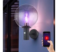 Applique murale LED avec détecteur de mouvement, applique d'extérieur, dimmable avec télécommande, lampe de façade, verre fumé, changement de couleur RGB, acier inoxydable, 8,5W 806lm blanc chaud, LxP