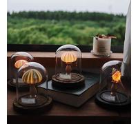 Lampe d'oursin de coquillage faite à la main, décoration de bureau d'étude, ornement de chambre intérieure, veilleuse de chevet, matériel de bricolage, cadeau de vacances GT C-DIY Material Pack