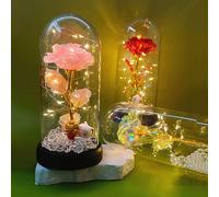 Lampe fleur de rose lumineuse à LED avec couvercle en plastique, fleur artificielle décorative, Maneki-Neko (chat porte-bonheur) décoration de maison, ornement de bureau, cadeau pour la fête des mères
