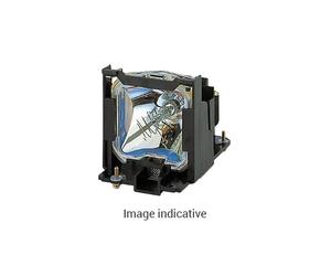 Lampe halogène Liesegang Osram 36V/400 W 300h