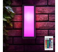 Lampe Hauswandleuchte Applique Murale Feu Avant Changement Variateur RGB LED