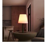 HOME DECO FACTORY - LA0098, Lampe de Table Rechargeable USB IP44, Design Moderne et Élégant, Conçue pour Intérieur et Extérieur, Éclairage Doux, H30 cm, Vert