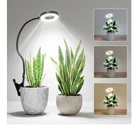 Lampe horticole LED Spectre Complet avec Minuterie et Intensité Réglable,Lampe Plante Intérieur USB,Lampe de Croissance pour Plantes