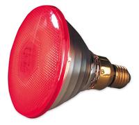 PHILIPS PAR38 IR 100W E27 240V Rouge 1CT/12 Lampe infrarouge E27 à intensité variable - Radiateur à infrarouges