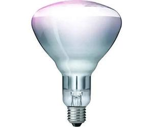 Lampe infrarouge Kerbl Philips Blanc 150 W
