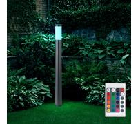 Lampe Lampadaire Borne Lumineuse RGB LED Télécommande Dimmable Inox Cour