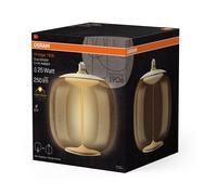 Lampe LED vintage Vintage 1906 Grand ovale 25 fila 4099854173844