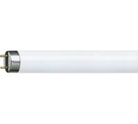 Lampe MASTER TL-D Super 80 36W 865 - - 632074