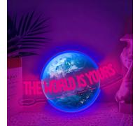 Lampe néon UV avec alimentation USB et inscription « The World is Yours » - Convient pour les rassemblements, clubs, chambres et salles d'étude (5 V, 40 x 25 cm)