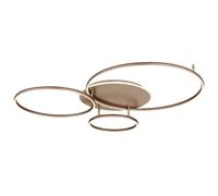 Lampe Plafond LED Dimmable Deckenlampe Séjour Champagner CCT Veilleuse