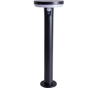 Lampe solaire Champignon