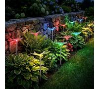Lampe Solaire D'Extérieur LED Papillon Libellule Changement De Couleur 12 Pièces