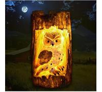 Lampe Solaire LED Étanche pour Jardin - Décoration Chouette - Lumière d'Extérieur - Guirlande LED Cadeau de Noël