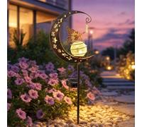 Lampe solaire sur piquet en forme de colibri, globe en verre craquelé avec LED chaude, croissant en métal, étanche, pour cour, terrasse, pelouse, jardin, cadeaux pour maman, grand-mère (féérique)