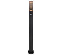 Lampe sur pied Éclairage extérieur Lampadaire avec détecteur de mouvement Jardin Acier inoxydable, commande par app, 1x Smart RGB LED 10W 806Lm, DxH 7,6x110 cm